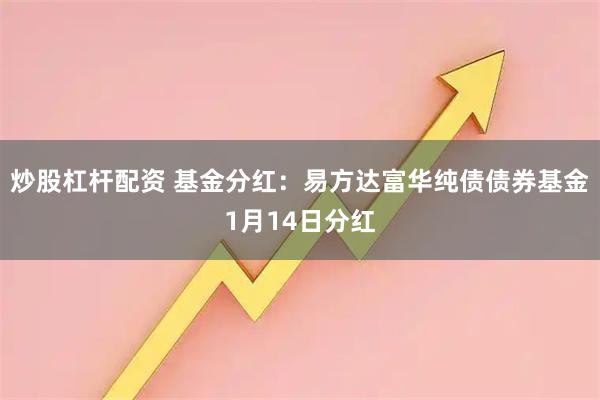 炒股杠杆配资 基金分红:易方达富华纯债债券基金1月14日分红