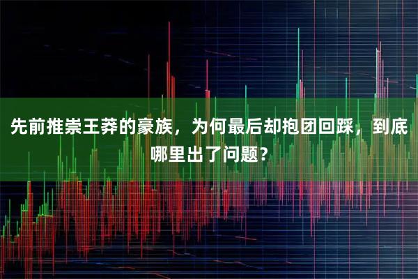 先前推崇王莽的豪族，为何最后却抱团回踩，到底哪里出了问题？