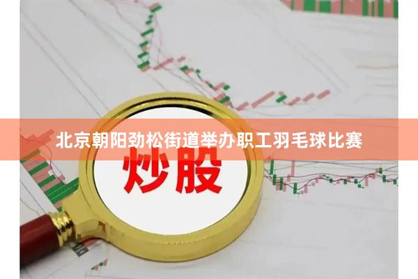 北京朝阳劲松街道举办职工羽毛球比赛
