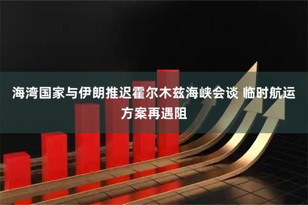 海湾国家与伊朗推迟霍尔木兹海峡会谈 临时航运方案再遇阻