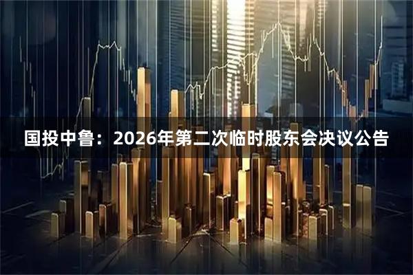 国投中鲁：2026年第二次临时股东会决议公告